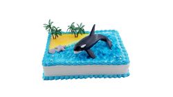Orca