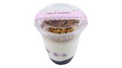Blueberry yogurt 