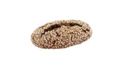 Organic smart bread