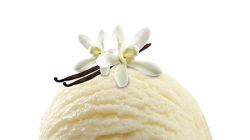 Vanilla ice cream scoop