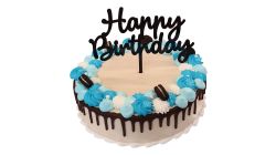 Ice Princess Colour Cake Round 