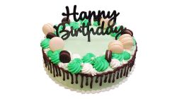 Ice Princess Colour Cake Round 