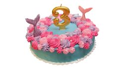 Ice Princess Colour Cake Round 