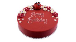 Lucky Charm Ladybird Colour Cake Round