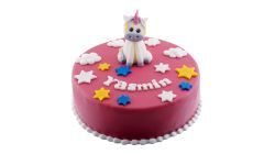 Kitty Pink Colour Cake Round 