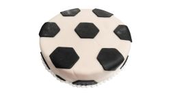 Seahorse Colour Cake Round 