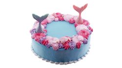 Ice Princess Colour Cake Round 