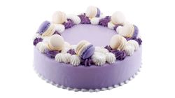 Ice Princess Colour Cake Round 