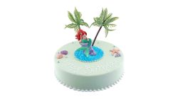 Macho Colour Cake Round 