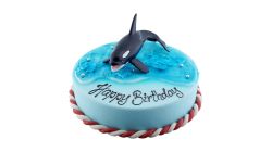 Color-Flip rund Orca