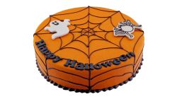 Olaf Colour Cake Round 