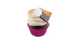 Cupcake S 'Mores