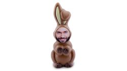Face-Bunny