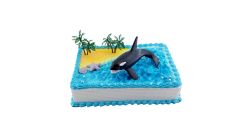 Orca