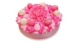 Ice Princess Colour Cake Round 