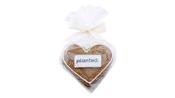 Lebkuchen Heart 7 x 7 cm
