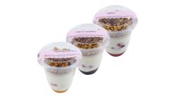 Blueberry Or Apricot Or Mango Or Banana Chocolate Yoghurt (MON-FRI)