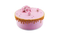 Color-Torte rund Timeless Rosa