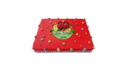 Drops Colour Cake Square