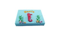 Marine Animals Colour Cake Square