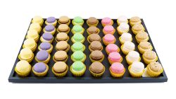 Macarons Rectangle 48 pc. 