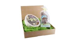 Oster Bundle – Nur Online erhältlich