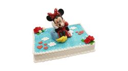 Mickey + Minnie