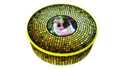Your Photo Disco