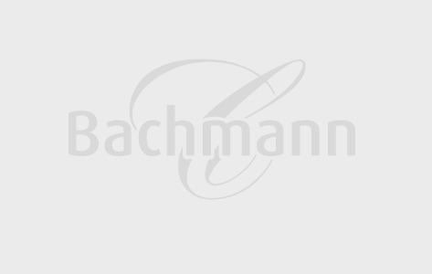 Schutzengeli® 8er Dubai-Style B2B